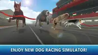Dog Racing Tournament Sim 2 Screen Shot 0
