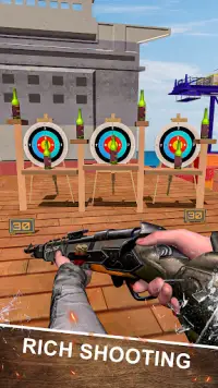 Real Target Gun Shooter Games Screen Shot 3