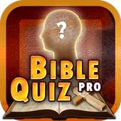 Bible Trivia