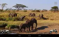Safari Kid Screen Shot 3