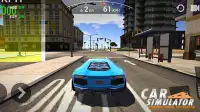 Car Simulator: Steering Wheel Possessor Screen Shot 3