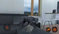 Simulateur de chien Dogue Allemand Screen Shot 14