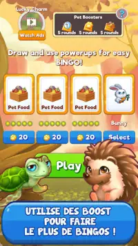 Bingo: Free the Pets Screen Shot 5
