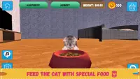 Cat Simulator: My Cat game - Cat 2021 and Cat Exam Screen Shot 1