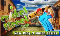 Cricket Street Cup Game Screen Shot 0