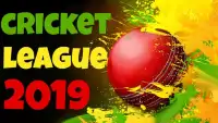 Pakistan Cricket League Screen Shot 2