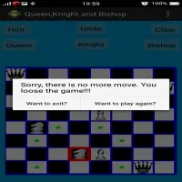 Chess Queen,Knight and Bishop Problem Screen Shot 2