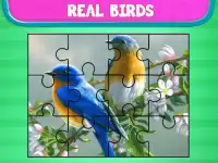 Love Birds Jigsaw puzzle :  Paradise for toddler Screen Shot 4