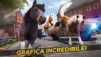 Il Mio Bel Pony: Corsa & Corri Screen Shot 6
