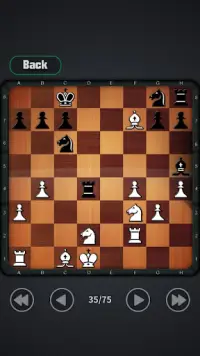 शतरंज खेलना Screen Shot 5