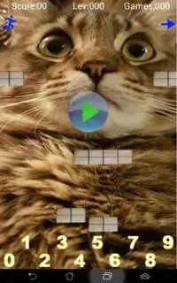 Taquitoゲム-数学のボールの猫の子供の無料の教育ゲーム Screen Shot 6