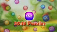 2048 Puzzles Screen Shot 4
