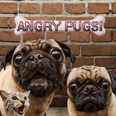 Angry Pugs by GetPuggedUp.com