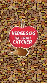 Hedgehog Fun Run Screen Shot 0