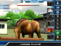 無料競馬ゲーム iHorse Racing: free horse racing game Screen Shot 6
