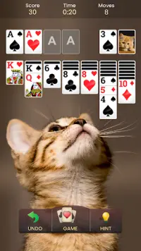 Solitaire - Classic Card Game Screen Shot 8