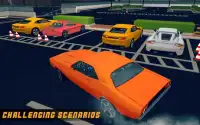 Valley Car Parking Mania 2017 Screen Shot 5