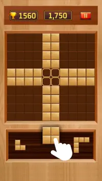 Wood Block Puzzle 2020 : Classic Block Puzzle Game Screen Shot 0