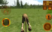 Gerçek Aslan Simülatörü 3D Screen Shot 5