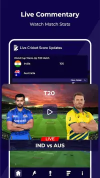 Live Cricket Match: Live Score Screen Shot 2