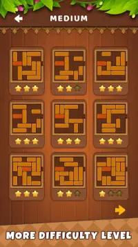 Unblock Puzzle - Wood Sudoku Screen Shot 2