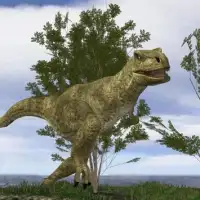 3D Dinosaur Screen Shot 0