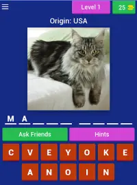 Cat Breed Quiz Game (Cat Game) Screen Shot 5