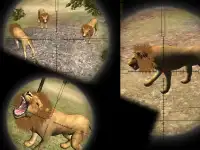 Lion Sniper Hunting Screen Shot 3