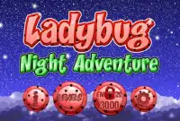 Ladybug Miraculous Night Adventure Screen Shot 2