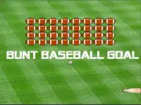 Bunt Baseball Goal Screen Shot 0