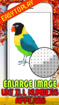 Nice Birds Pixel Art: Coloring By number Screen Shot 1