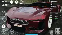 Car Racing Citroen Game Screen Shot 1