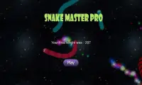 Snake Master Pro Screen Shot 3