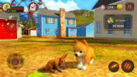 Pomeranian Dog Simulator Screen Shot 2