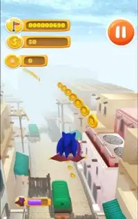 Sonic Sahara Adventure Screen Shot 2