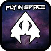 Fly In Space