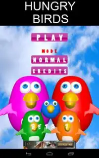 Hungry Birds -  3D MAZE GAME Screen Shot 1
