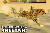 Cheetah Simulator Screen Shot 0