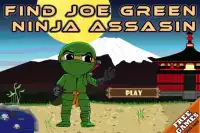 Find Joe Green, Ninja Assasin Screen Shot 0