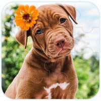 Dogs & puppies jigsaw puzzles