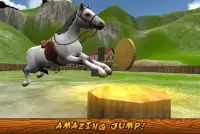 My Horse Simulator Training 3D Screen Shot 1