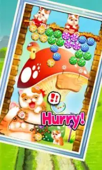 Bubble Shooter Cat Screen Shot 5