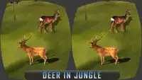 VR Safari Animal Selva Aventuras - Virtual Gira Screen Shot 0