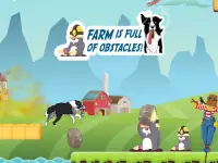 CollieRun - Free Dog game agility training border Screen Shot 6