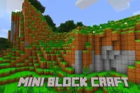 Mini Block Craft 2021 Screen Shot 1