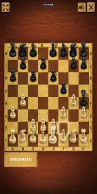 Master Chess Screen Shot 3