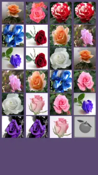 Rose Memory Game Screen Shot 4