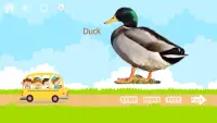 100 Animals and Birds for kids Screen Shot 5