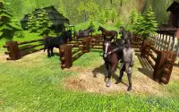 Horse Life Village Adventures Screen Shot 4
