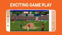 Boom Boom Afridi Cricket Game Screen Shot 1